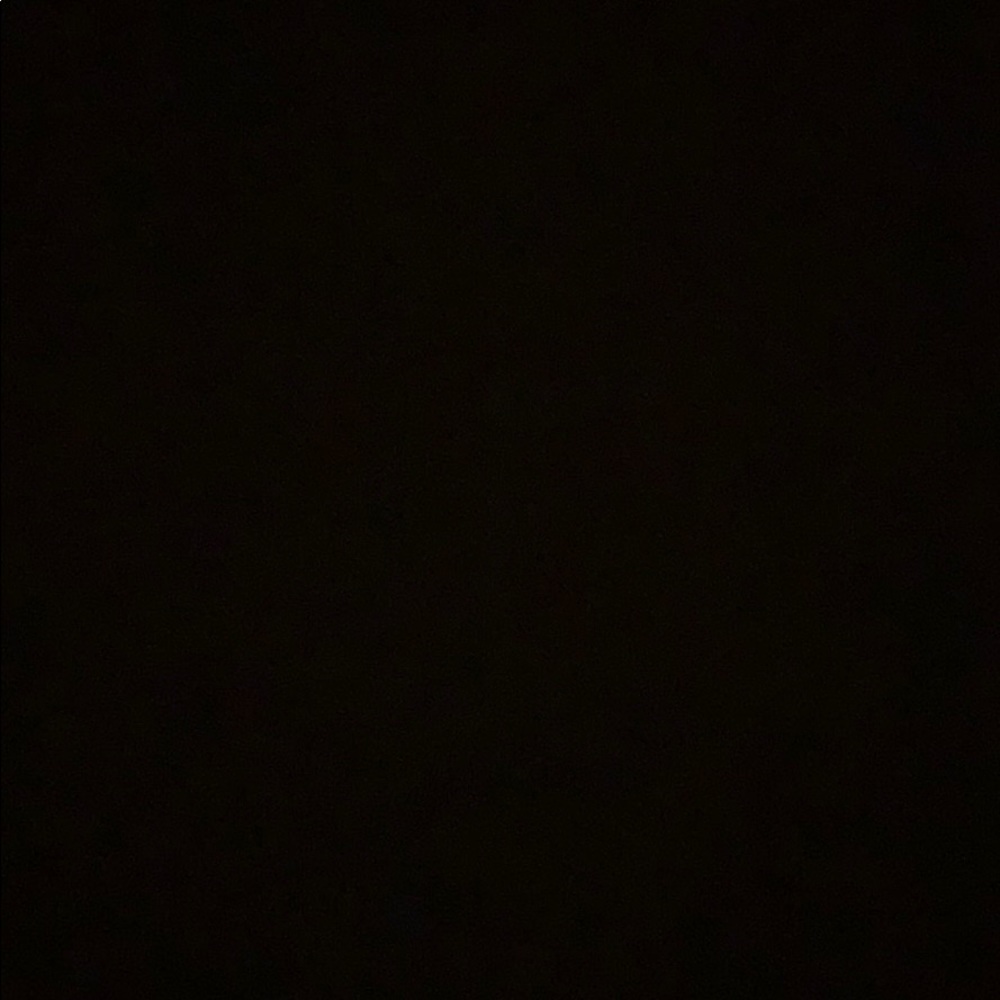 Meet your Posher, Lily